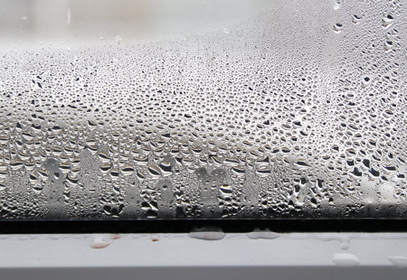 Close up photo of a window and lower window frame shot from indoors. There is condensation on the glass and the frame.