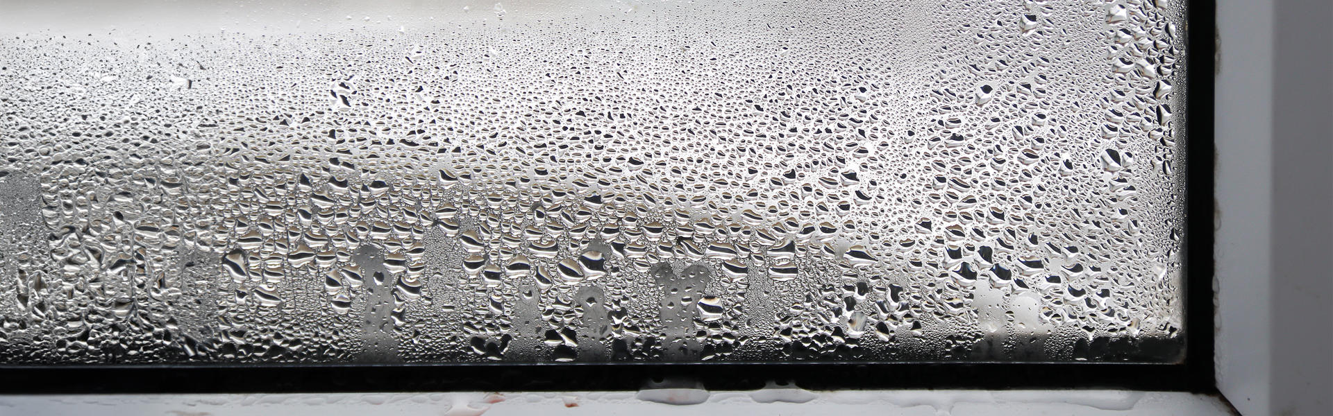 Close up photo of a window and lower window frame shot from indoors. There is condensation on the glass and the frame.