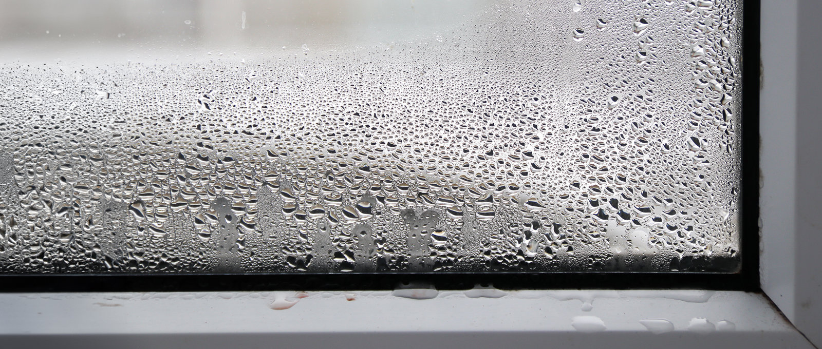 Close up photo of a window and lower window frame shot from indoors. There is condensation on the glass and the frame.