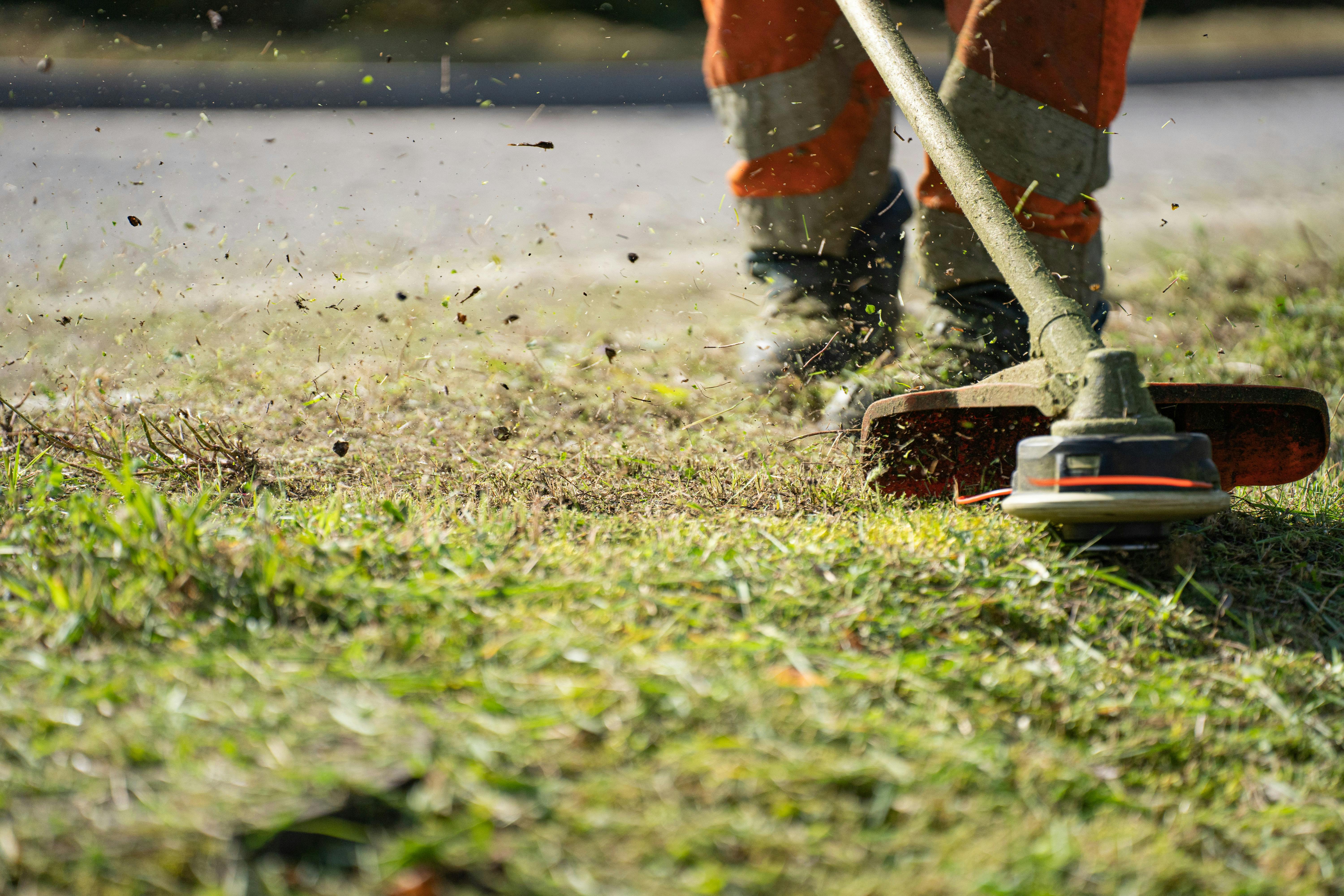 Close-up photo of grass being cut with a strimmer