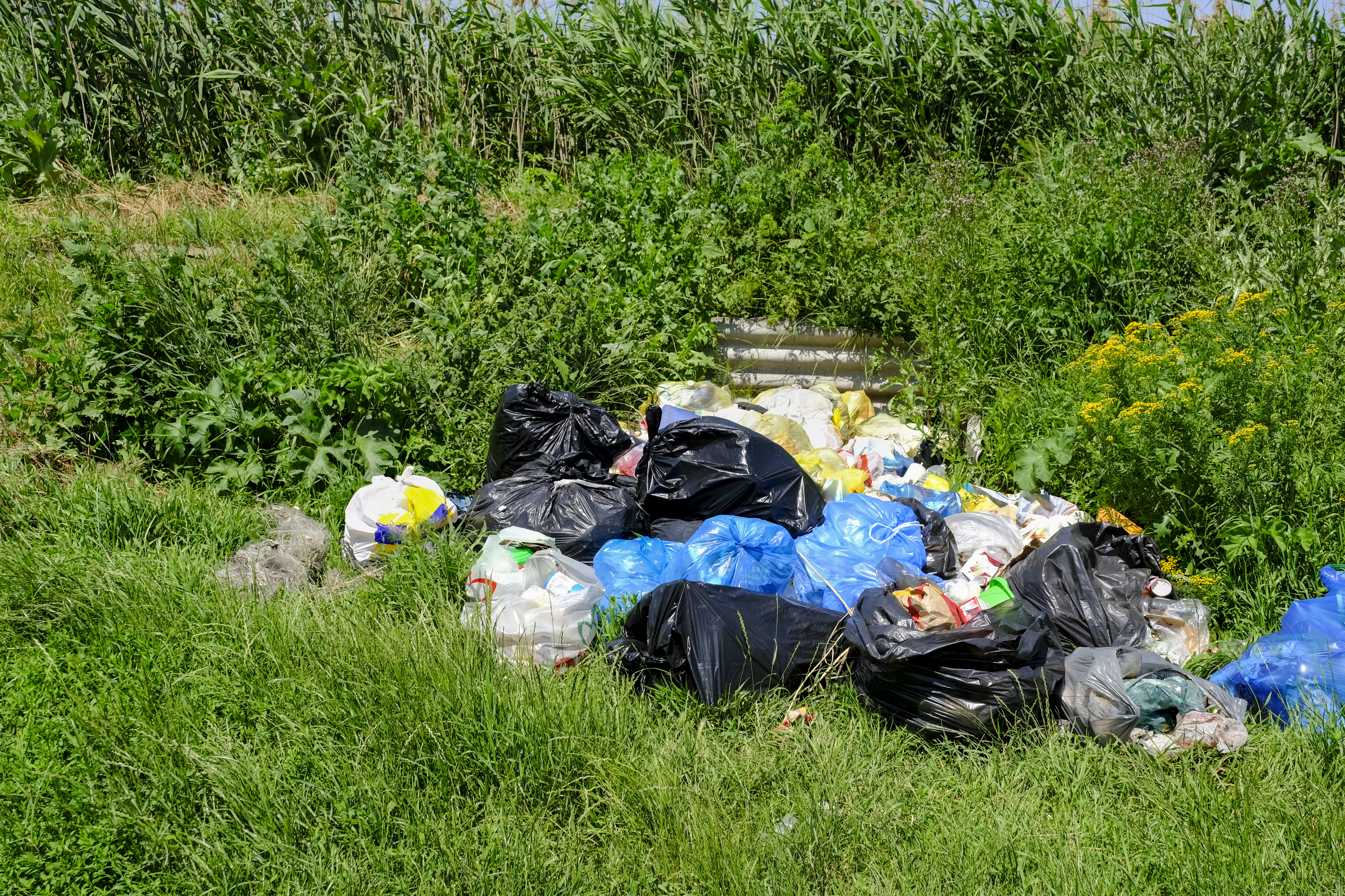 Photo of all kinds of waste dumped in plastic bags in a field